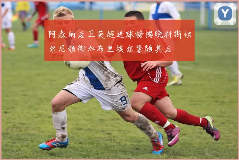 阿森纳后卫英超进球榜揭晓科斯切尔尼领衔加布里埃尔紧随其后