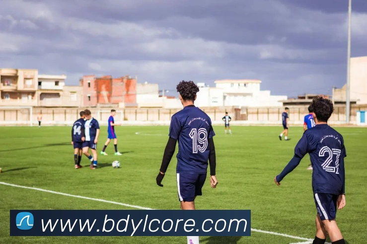 百达娱乐平台生态图